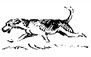 A picture containing linedrawing
Description automatically generated